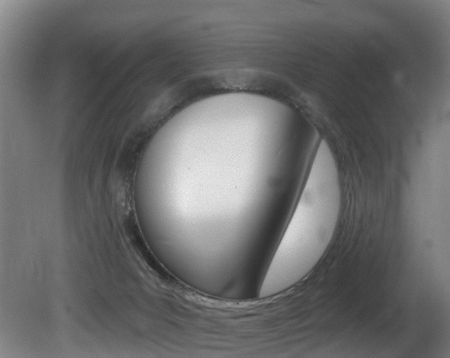 X0000081320031200701111040