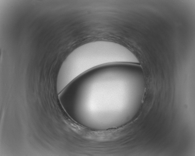 X0000081320033200701111040
