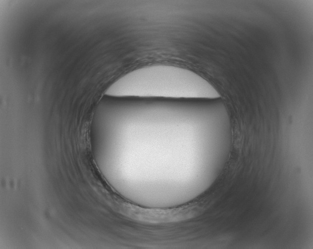 X0000081320034200701111040