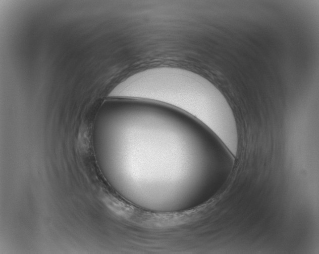 X0000081320037200701111040