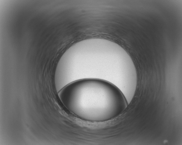 X0000081320039200701111040