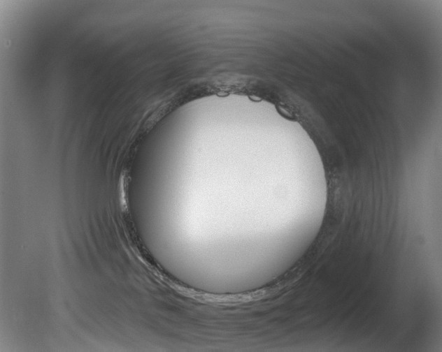 X0000081320042200701111040