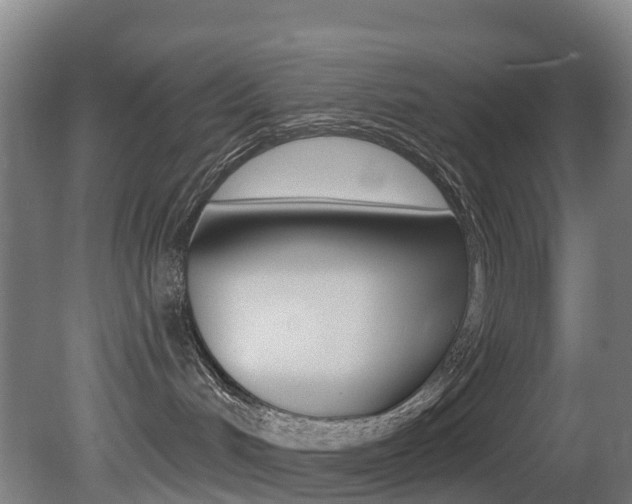 X0000081320048200701111040