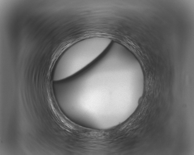 X0000081320049200701111039