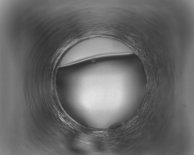 X0000081320050200701111039
