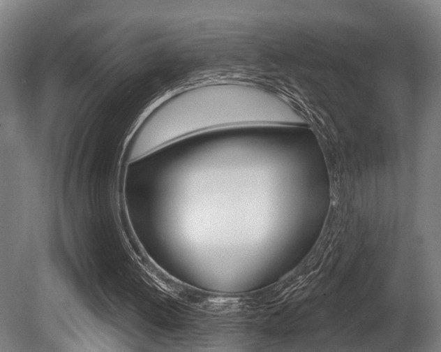 X0000081320052200701111039