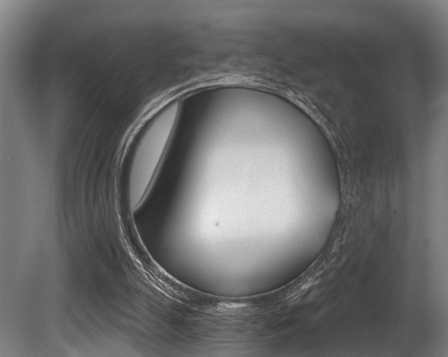 X0000081320055200701111039
