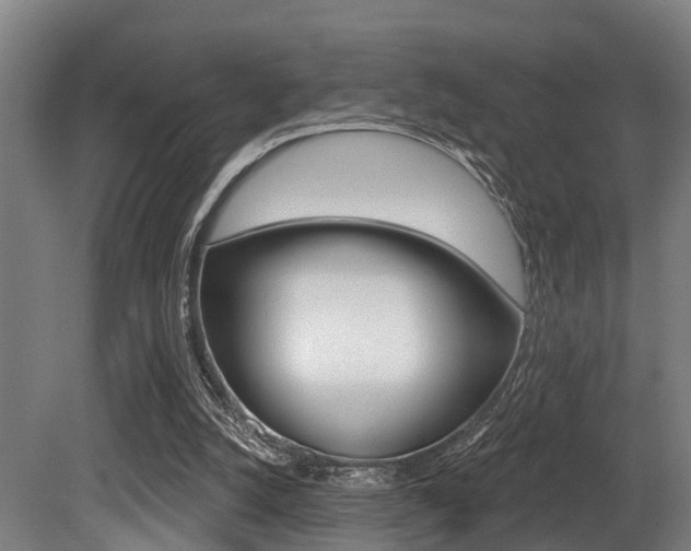 X0000081320056200701111039