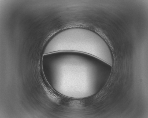 X0000081320058200701111039