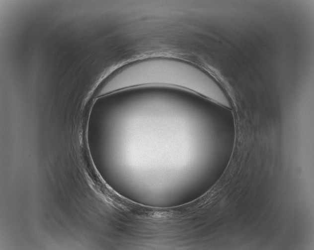 X0000081320060200701111039