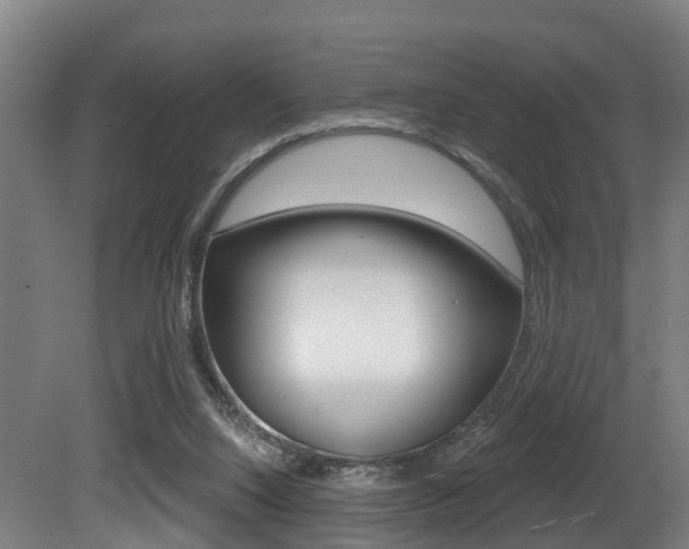 X0000081320064200701111039