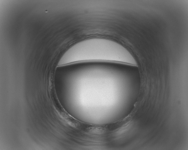 X0000081320074200701111039