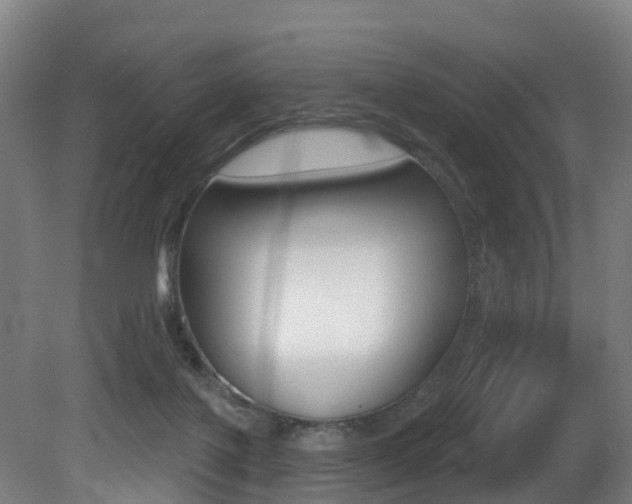 X0000081320075200701111039