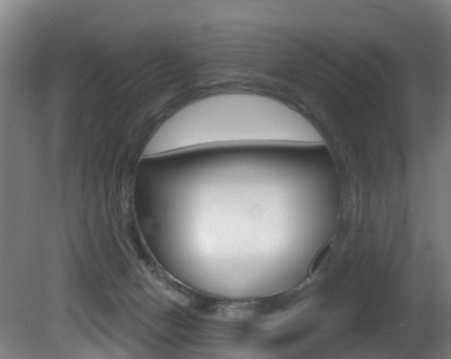 X0000081320078200701111040