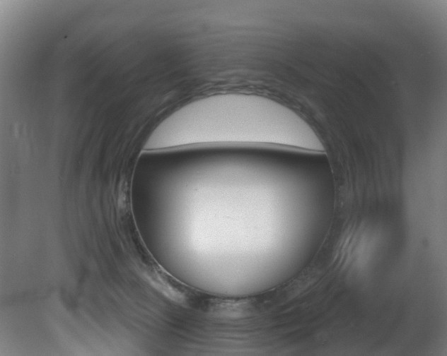 X0000081320081200701111040