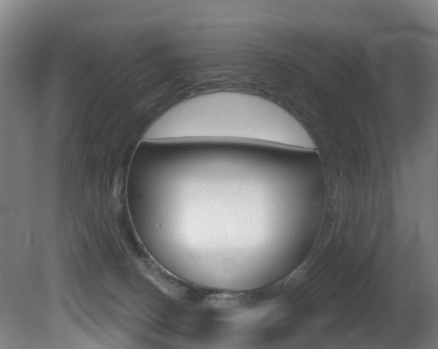 X0000081320082200701111040