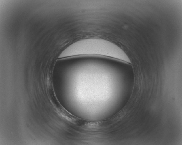 X0000081320084200701111040