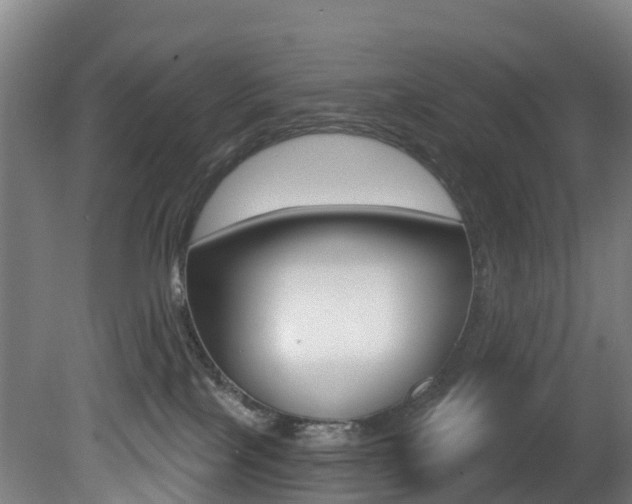 X0000081320089200701111040