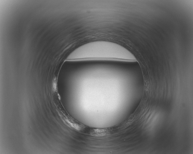 X0000081320095200701111040