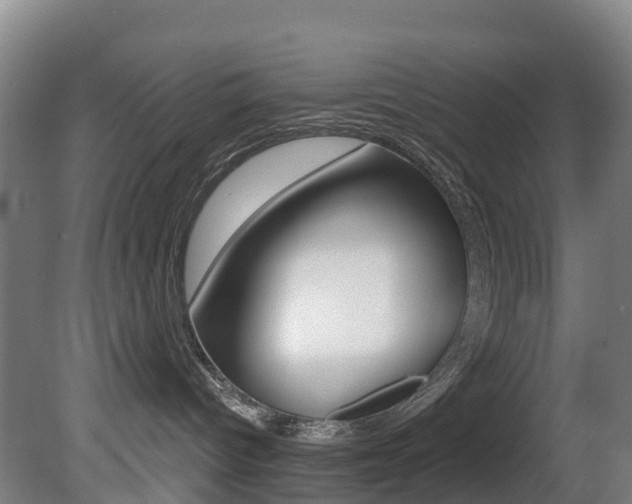 X0000081320096200701111040