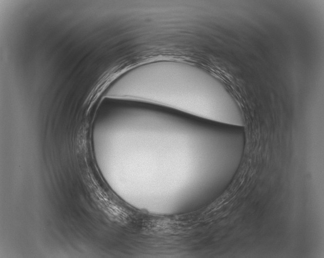 X0000081320098200701111039