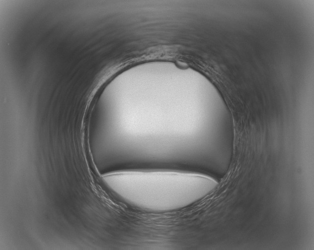 X0000081320100200701111039