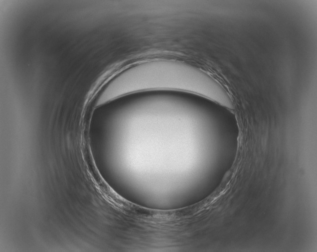 X0000081320101200701111039