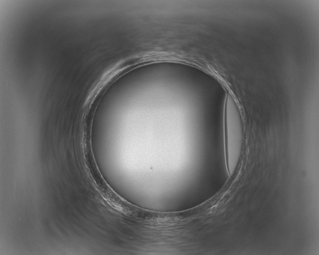 X0000081320103200701111039