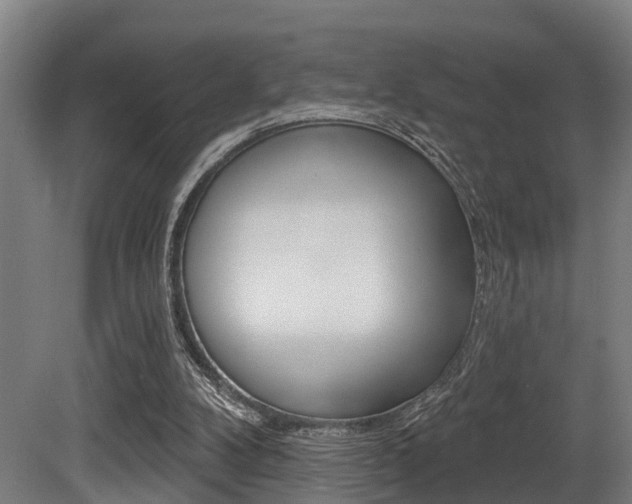 X0000081320104200701111039