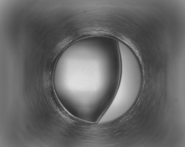X0000081320105200701111039