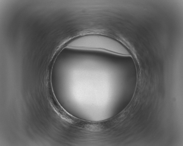 X0000081320107200701111039
