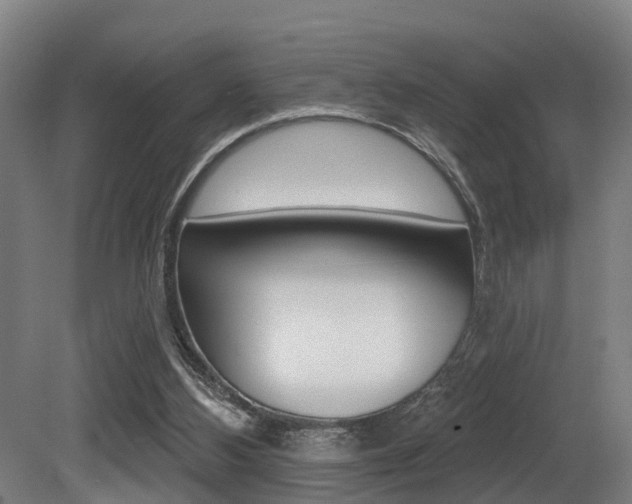 X0000081320108200701111039