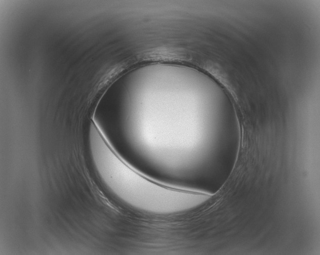 X0000081320109200701111039