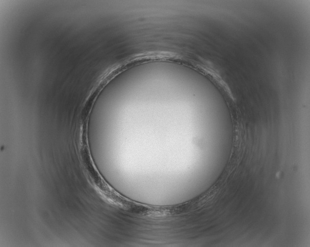 X0000081320110200701111039