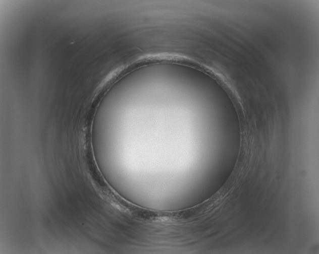 X0000081320111200701111039