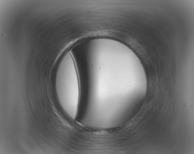 X0000081320112200701111039