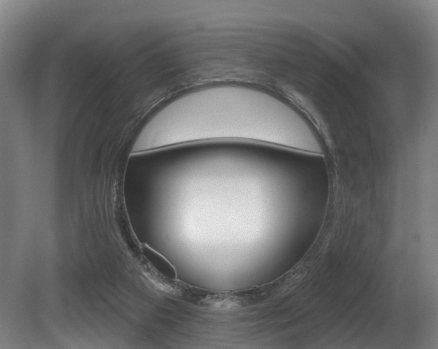 X0000081320113200701111039
