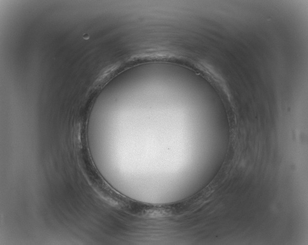 X0000081320115200701111039