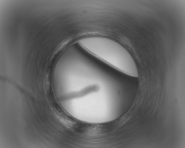 X0000081320116200701111039