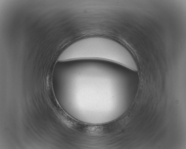 X0000081320117200701111039