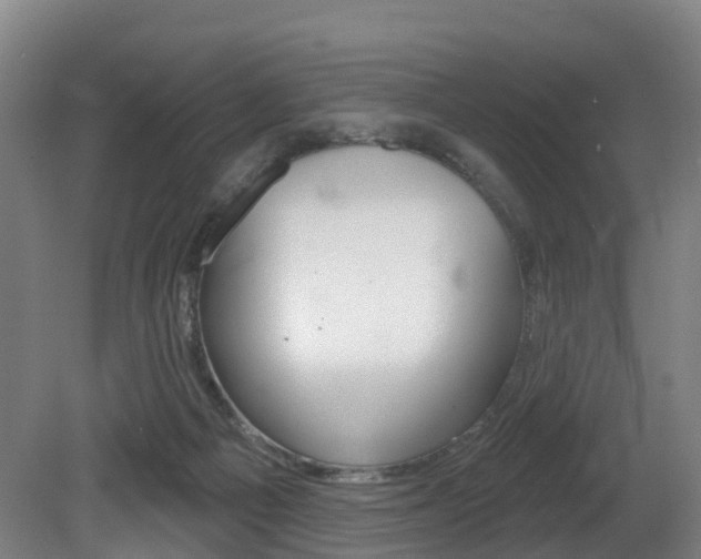 X0000081320121200701111039