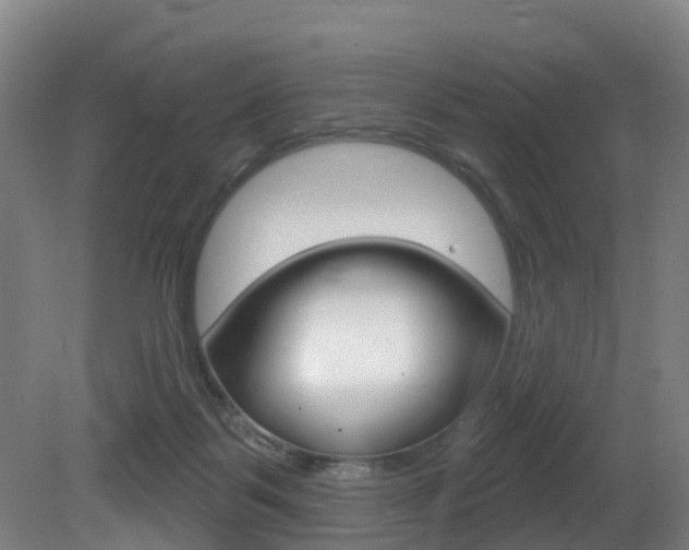 X0000081320123200701111039
