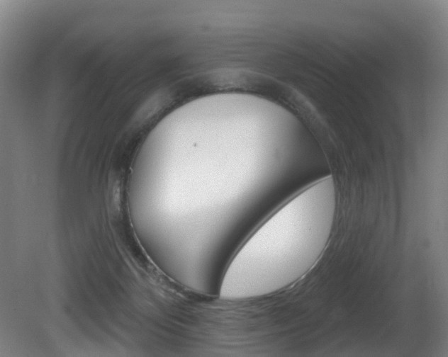 X0000081320124200701111039