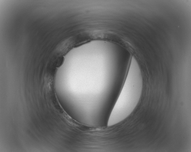 X0000081320125200701111039