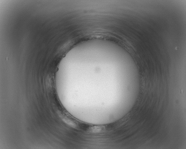 X0000081320126200701111039