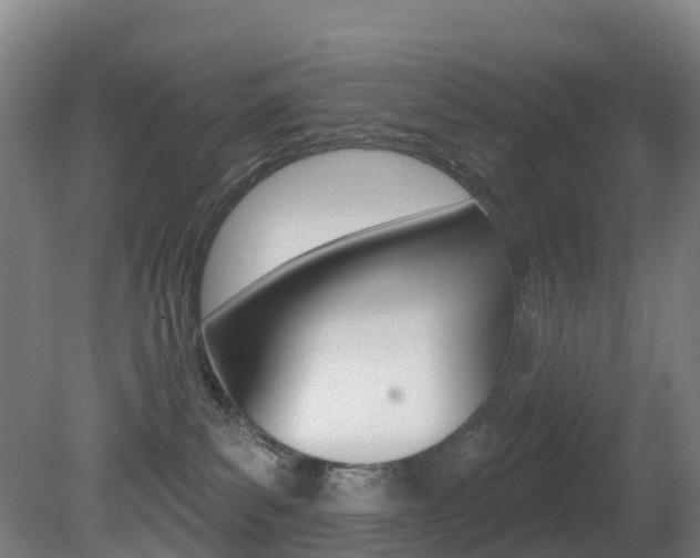 X0000081320139200701111038