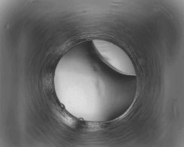 X0000081320144200701111038