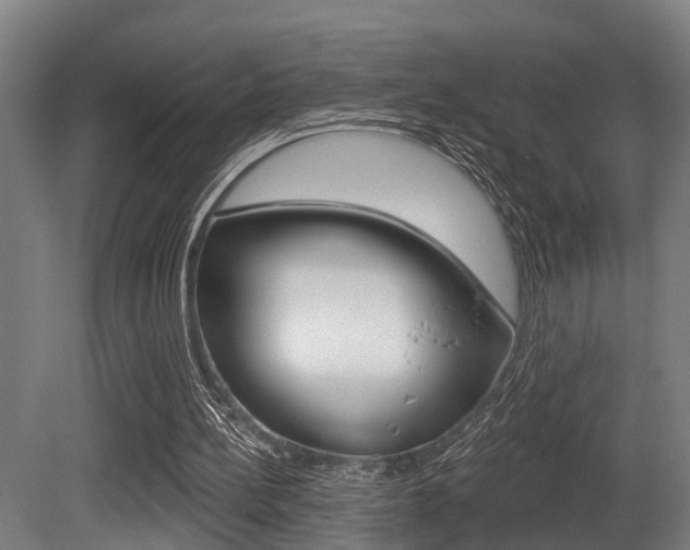 X0000081320148200701111037