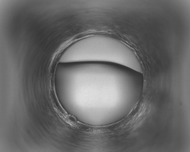 X0000081320149200701111037