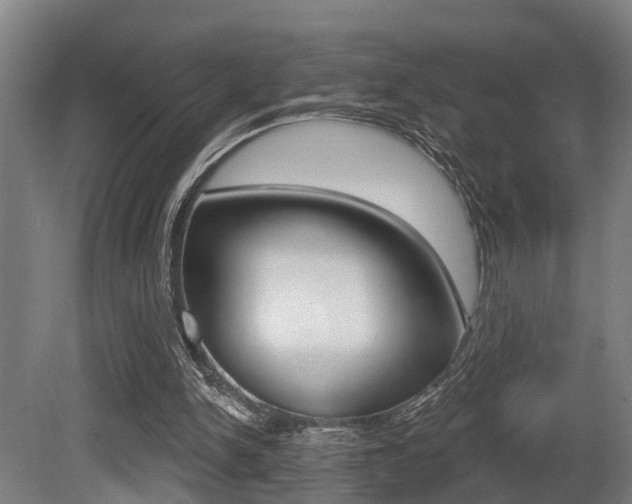 X0000081320150200701111037